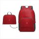 Eicher CarryOn Foldable Backpack